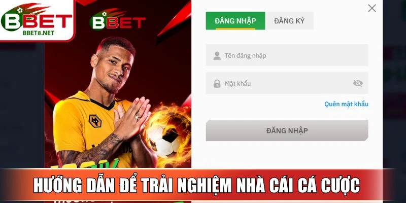 Các bước hướng dẫn để trải nghiệm nhà cái cá cược 