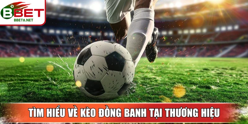 Kèo Đồng Banh BBet – Hiểu Đúng Để Dự Đoán Chính Xác 2 Sin88 Tìm hiểu về kèo đồng banh tại thương hiệu